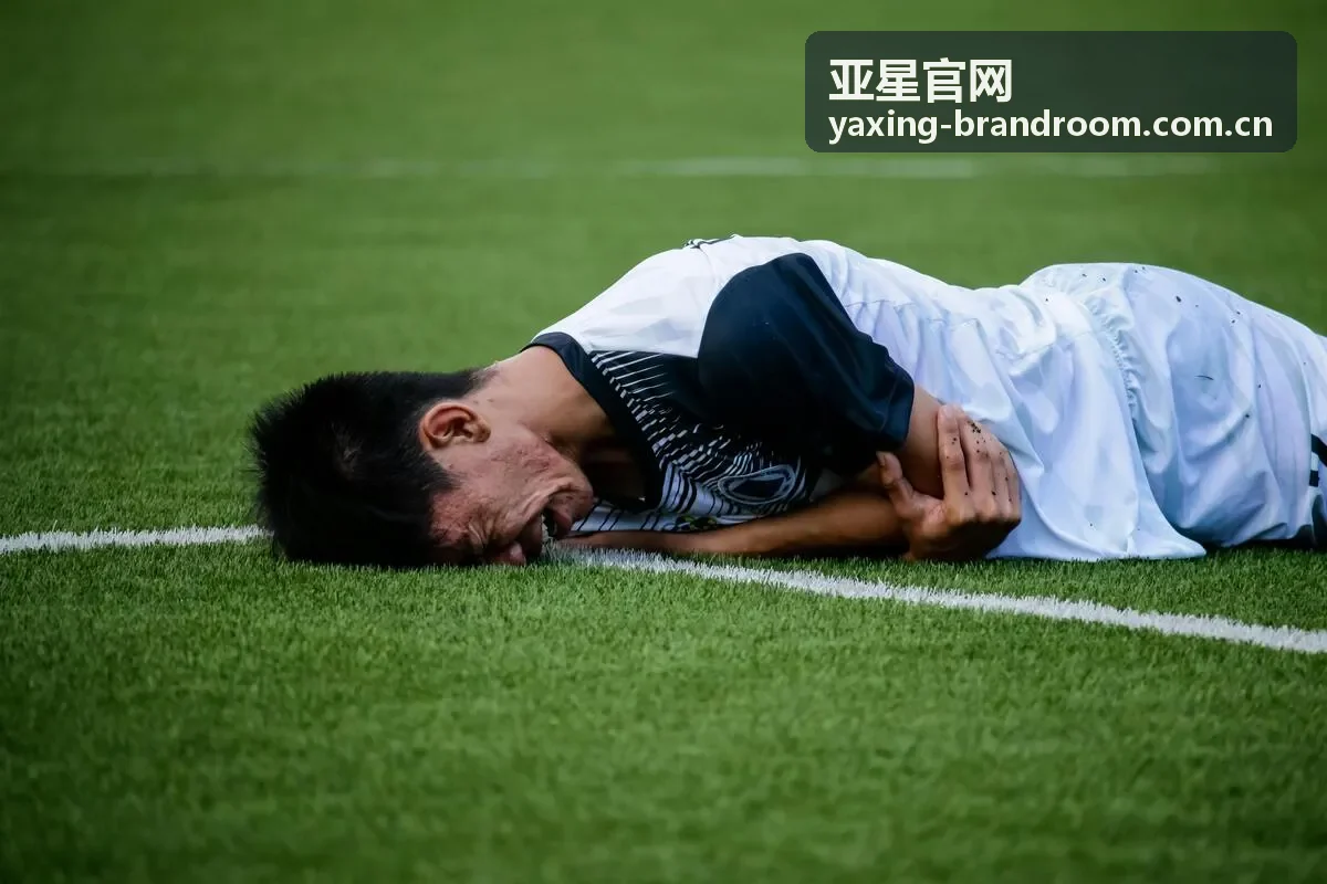 亚星官网使用指引内容画面